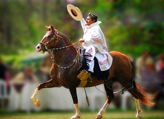 Excelente en las competencias