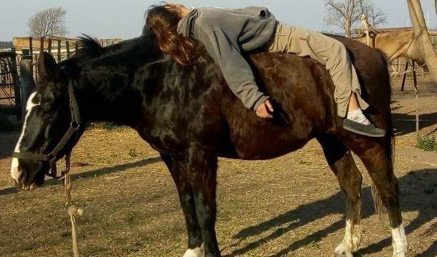 Imprinting en los caballos con niños
