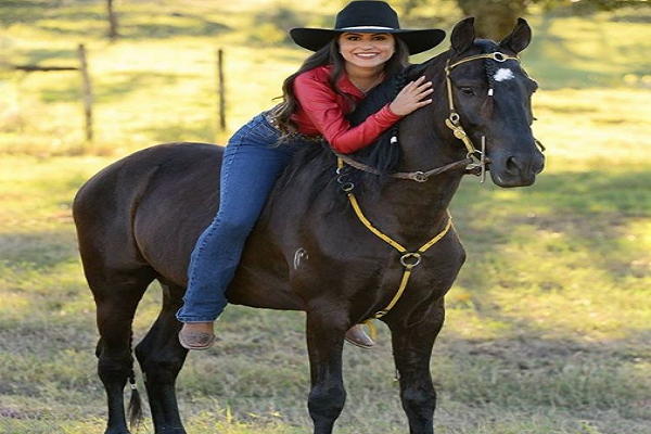 Al caballo le gusta que lo acaricien