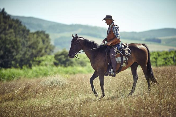 Estilos de montar caballo