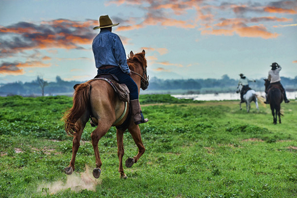 Cabalgar en campo abierto