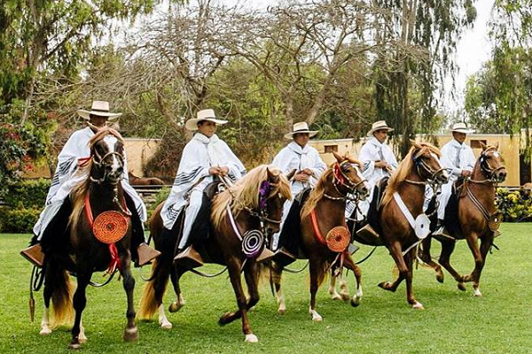Estilos de montar caballo