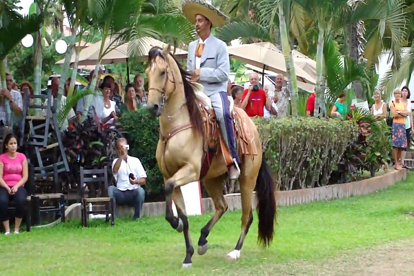 Caballos aztecas
