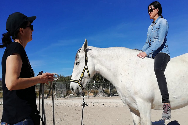 ¿Qué significa tener miedo a los caballos?