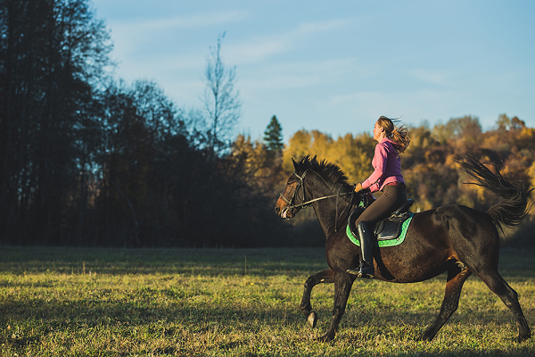 Medidas de una silla de montar a caballo