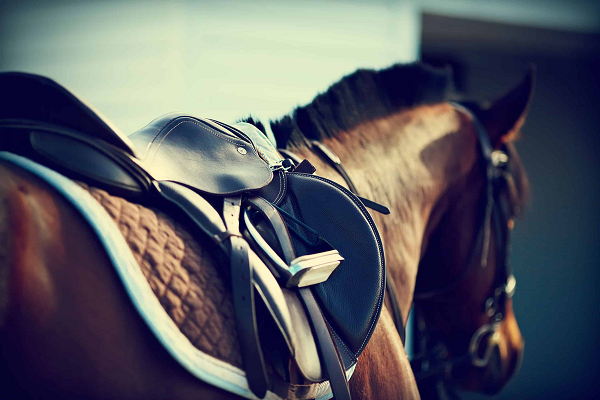 Medidas de una silla de montar a caballo