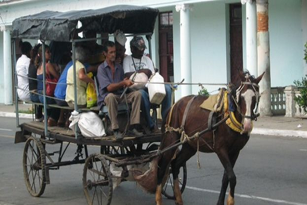 Carreta de transporte 