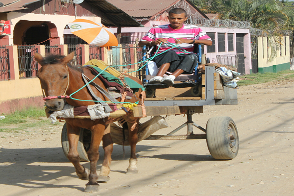 Modelos de coches de caballos