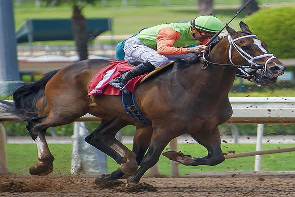 El Derby de Kentucky