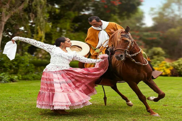 Participación de baile de caballos 
