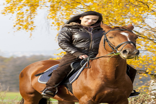 Montar a caballo