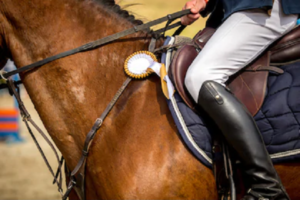 Espuelas para caballos
