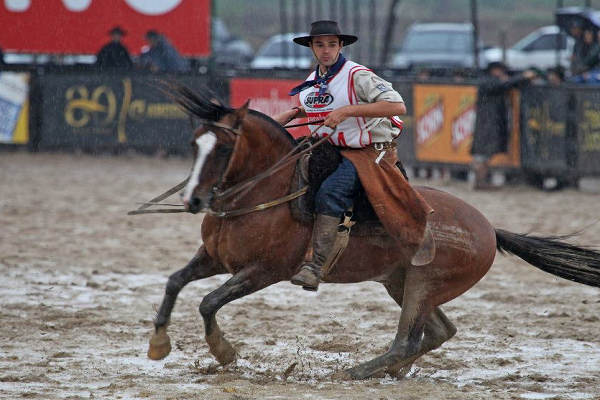Tipos de espuelas para caballos