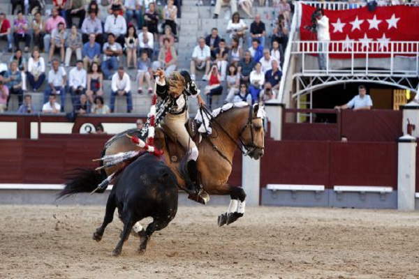 Caballos de rejoneo raza