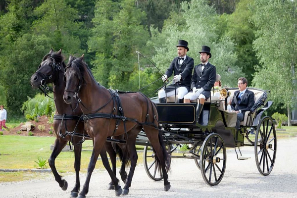 Carrozas de caballos