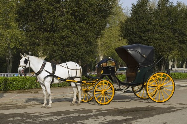 Carroza de caballo significado