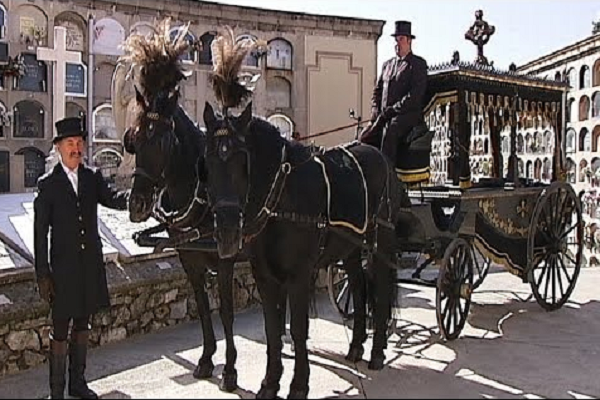 Cuando sueña con un caballo