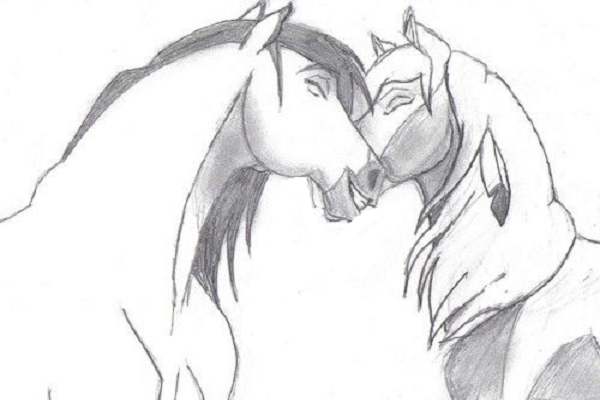 Caballos para dibujar a lápiz