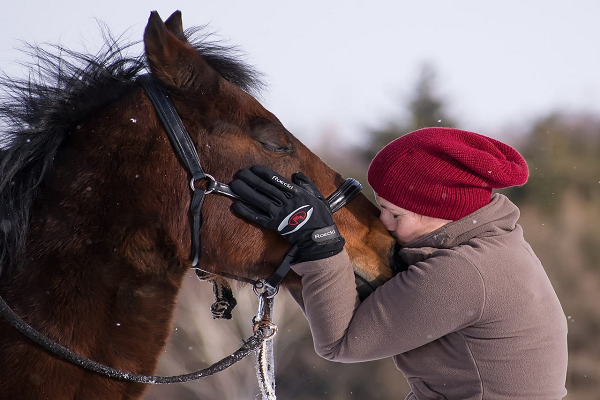 Consejos para entrenar un caballo