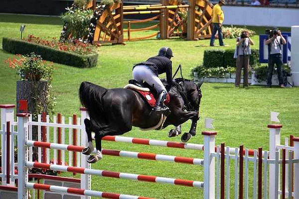 Salto ecuestre record mundial
