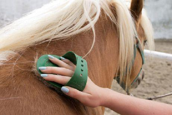 Vitaminas para peaje de caballos