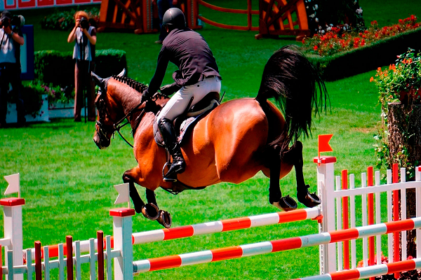 ¿Qué es el salto de caballo?