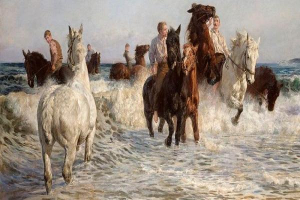 La evolución de los caballos