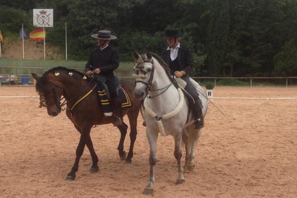 Caballo Menorquín