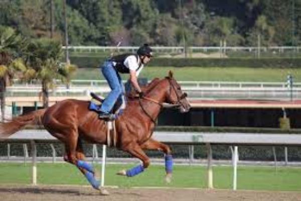 Lesiones más comunes al montar caballos