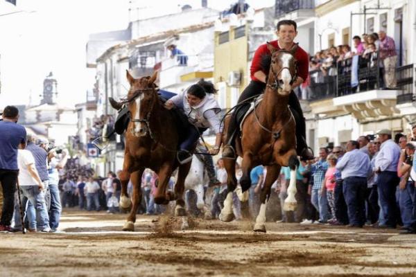 Lesiones Más Comunes Al Montar Caballos