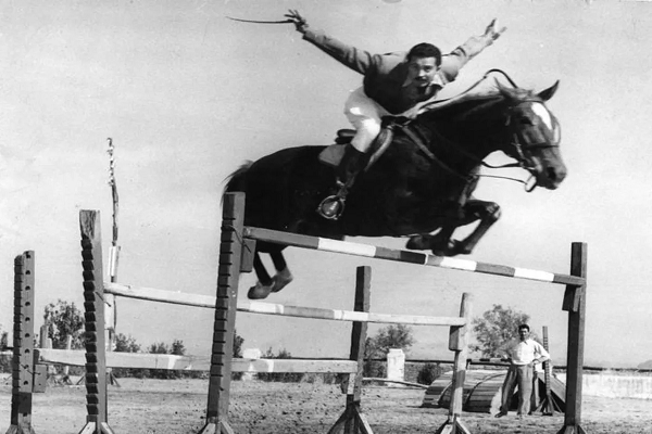 Cuanto Salta un caballo