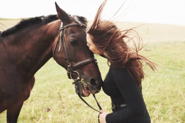 ¿Por qué se comunican los caballos?